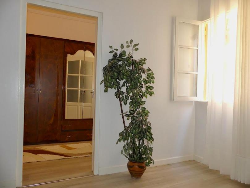 A Cozy Home Right In The Heart Of Tanger Zewnętrze zdjęcie